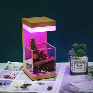 RGB 7色木製LED植物は光を育てます 