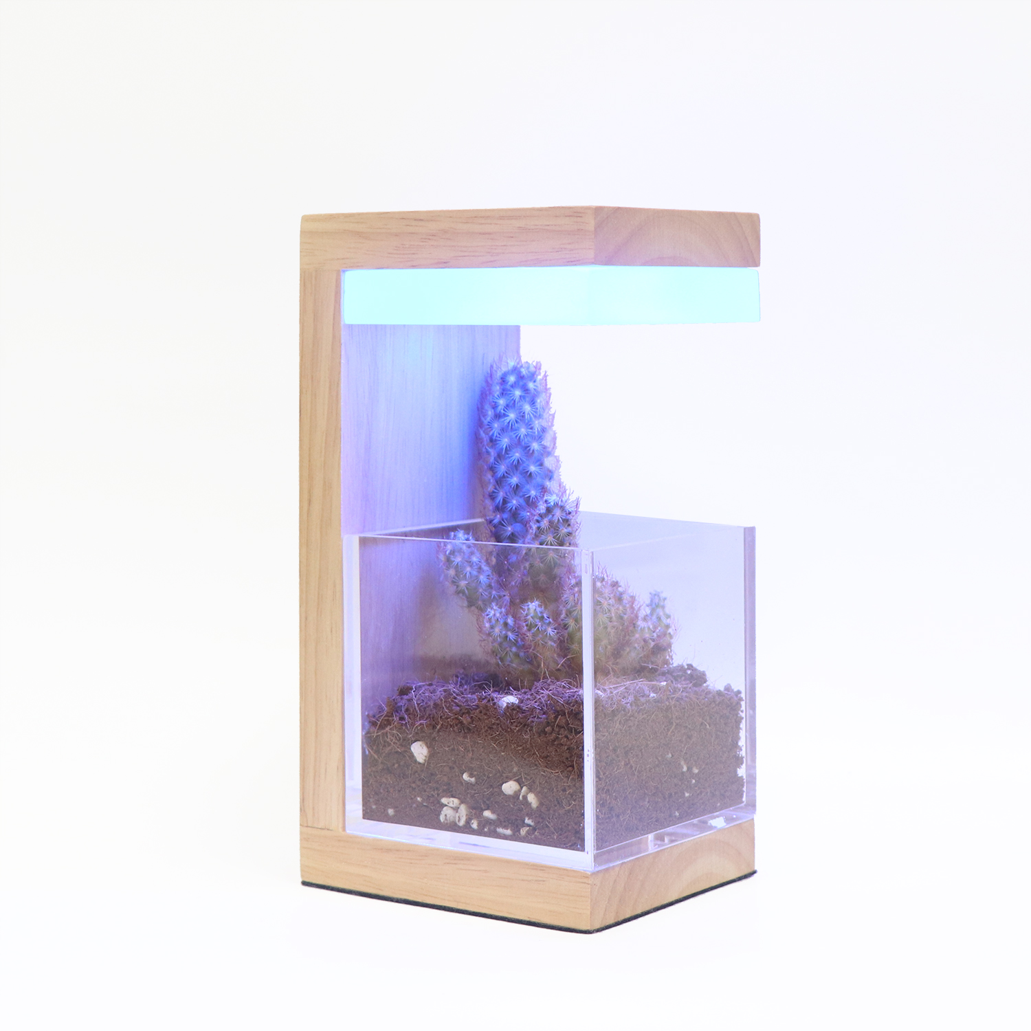 RGB 7色木製LED植物は光を育てます 