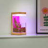 RGB 7色木製LED植物は光を育てます 