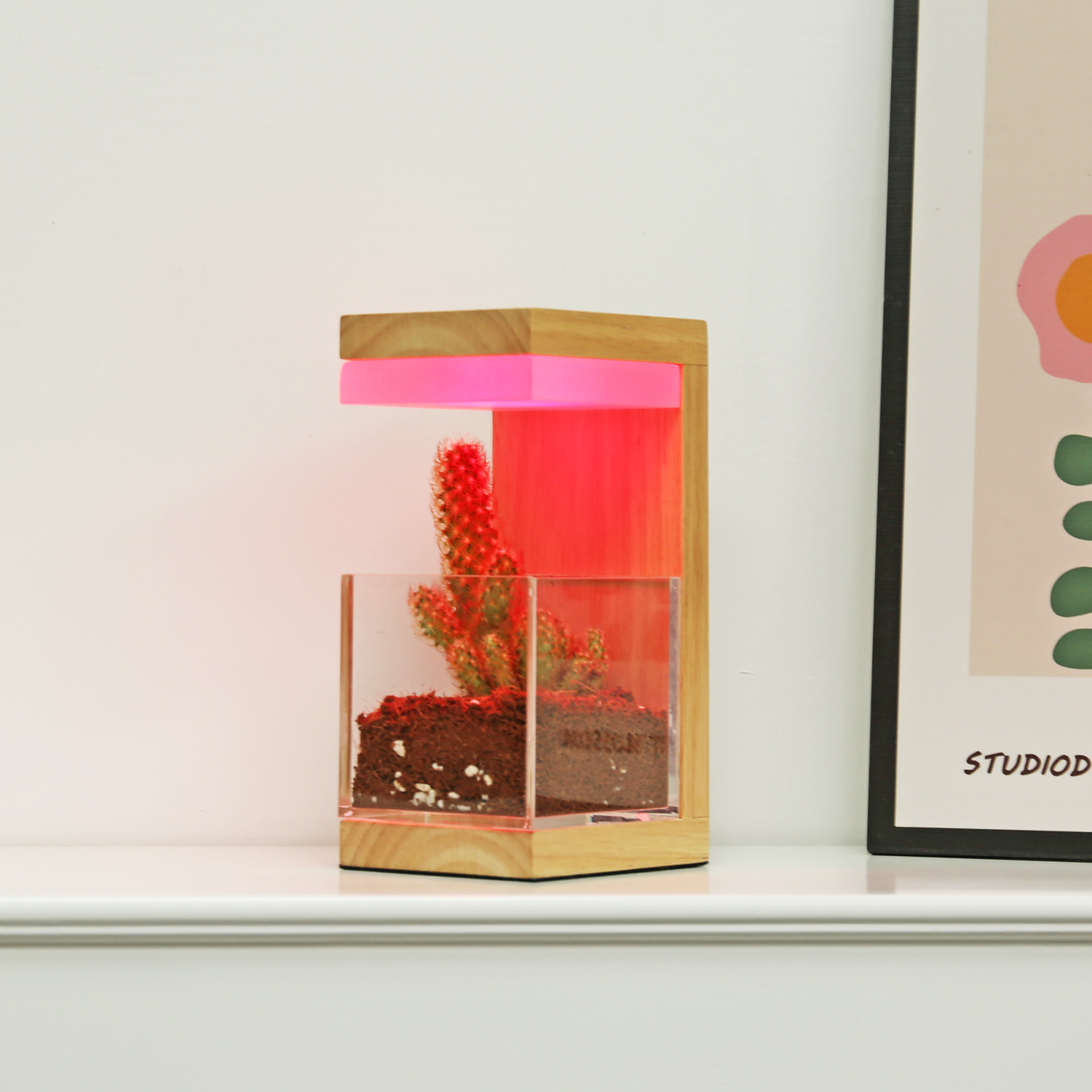 RGB 7色木製LED植物は光を育てます 